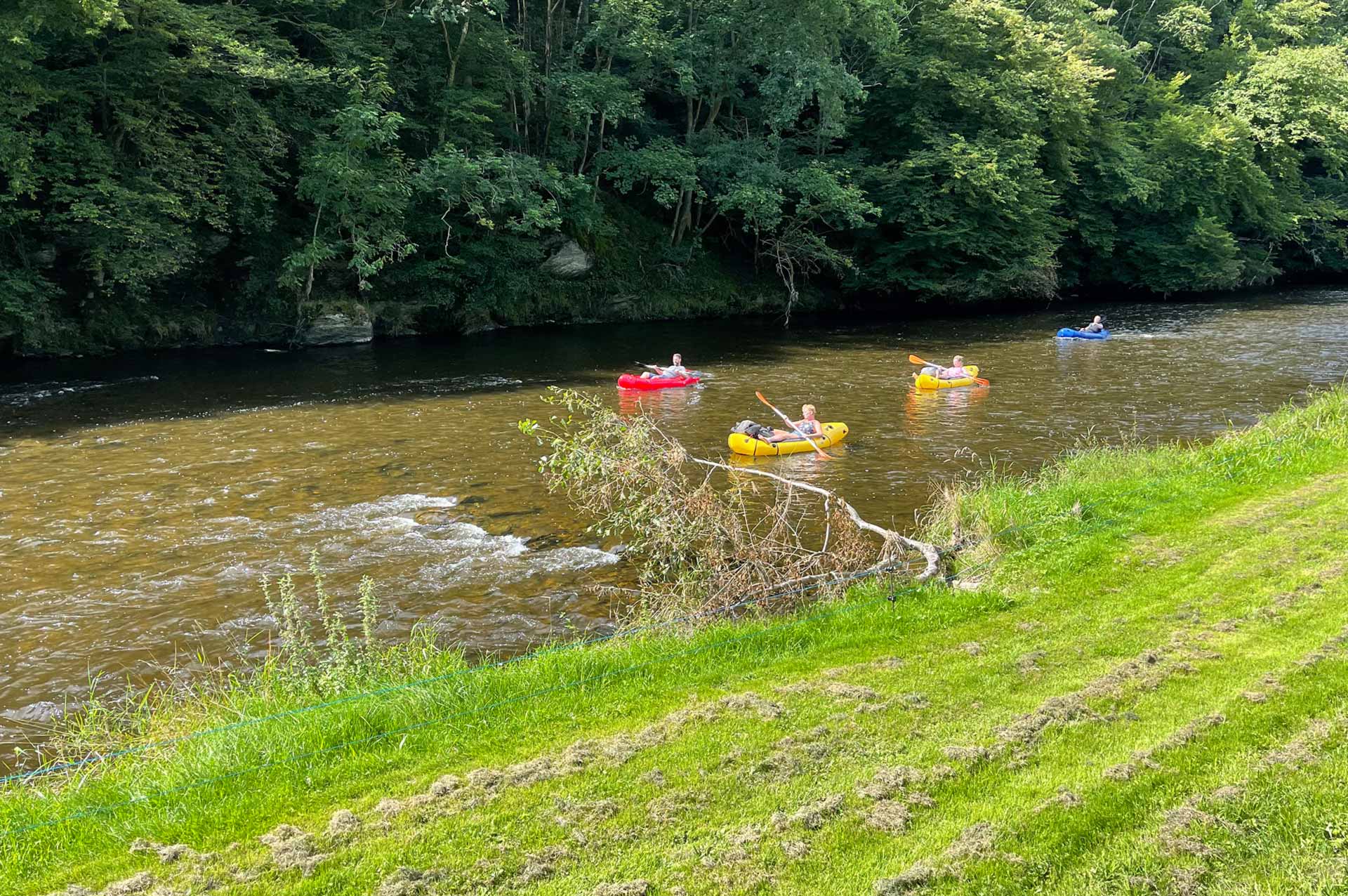 Ardenne Camping - Maboge (La Roche-en-Ardenne) België