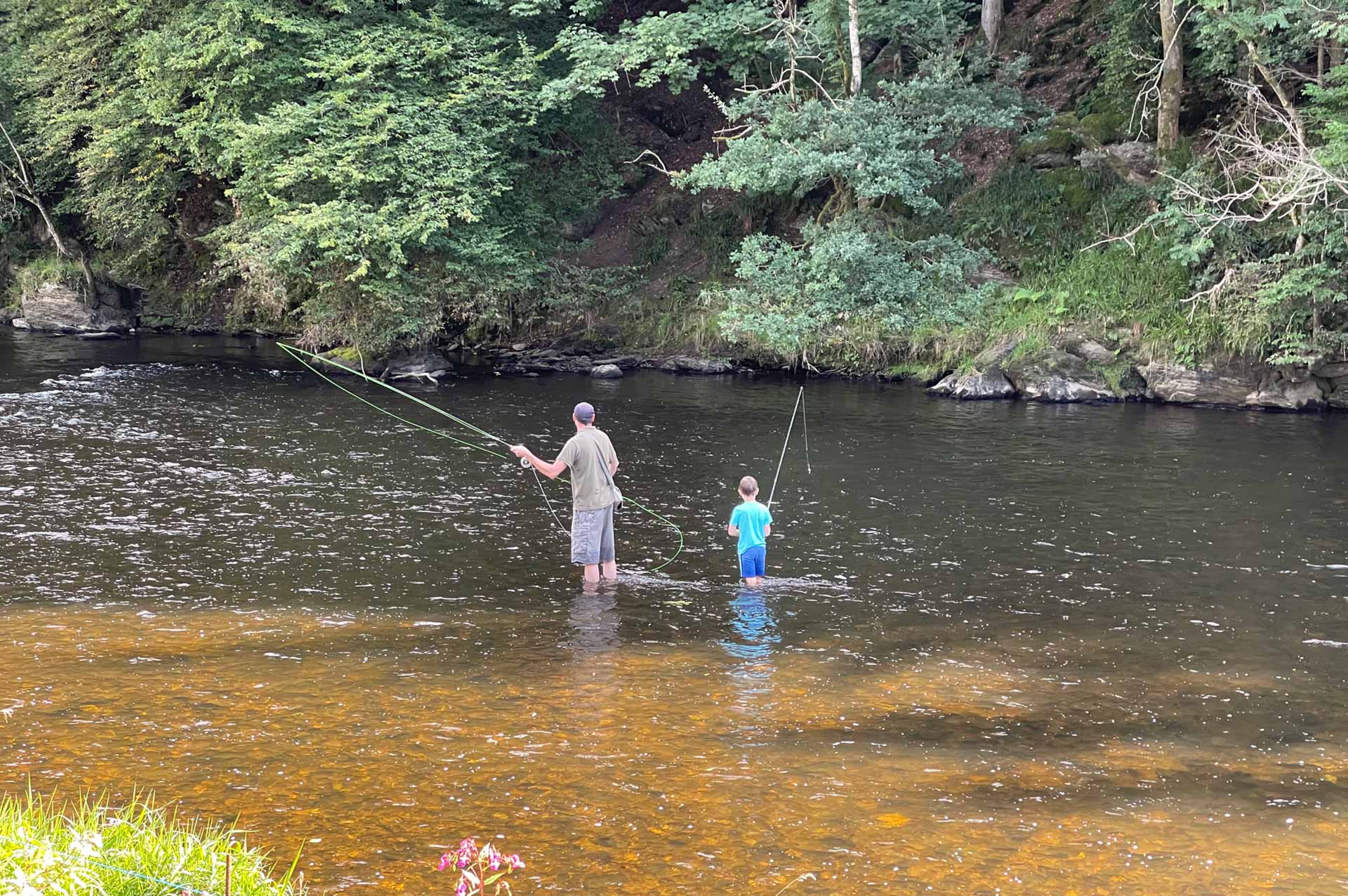 Ardenne Camping - Maboge (La Roche-en-Ardenne) Belgique