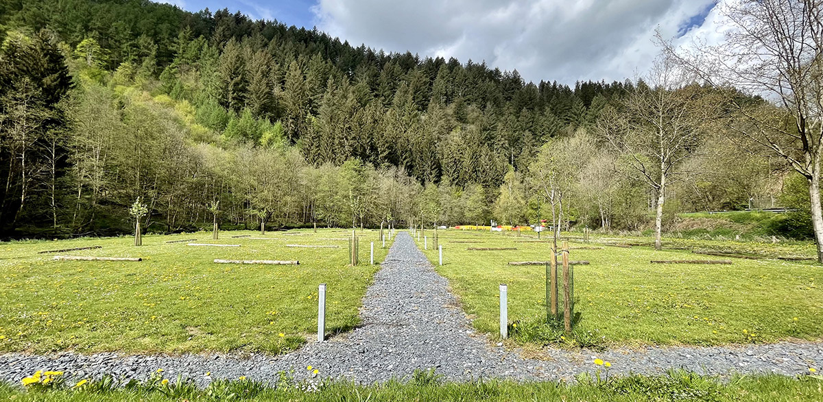 Ardenne Camping - Maboge (La Roche-en-Ardenne) Belgique - Camping Caravane Glamping Camping Car Tente