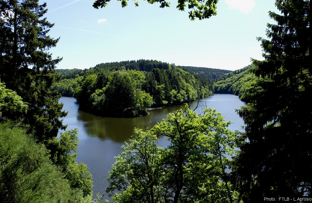 Flussgabelung der 2 Ourthen (Engreux)